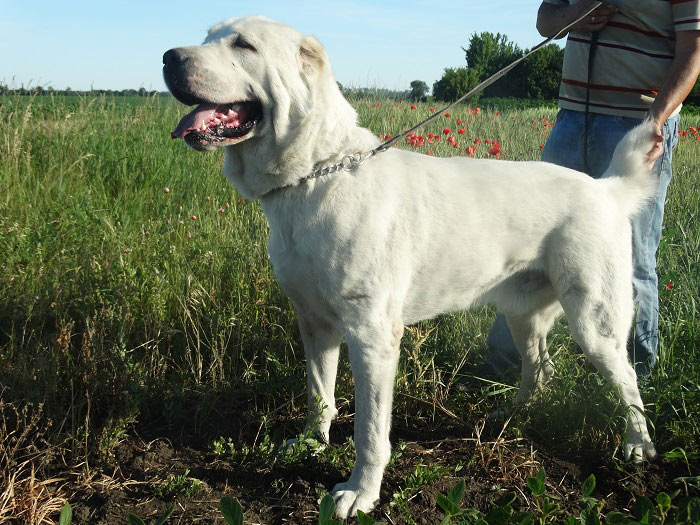 ��������������� �������